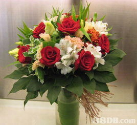 富林花園 您一站式花卉服務專家