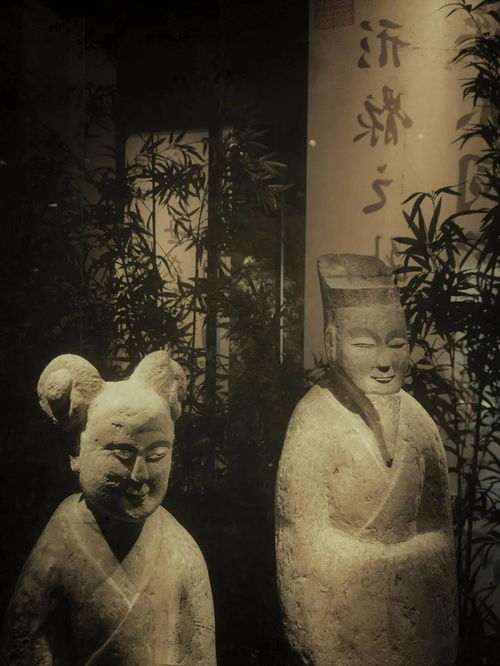 光影詩(shī)篇，竹韻新生——南京六朝博物館的建筑美學(xué)與鋼筋材料的現(xiàn)代演繹